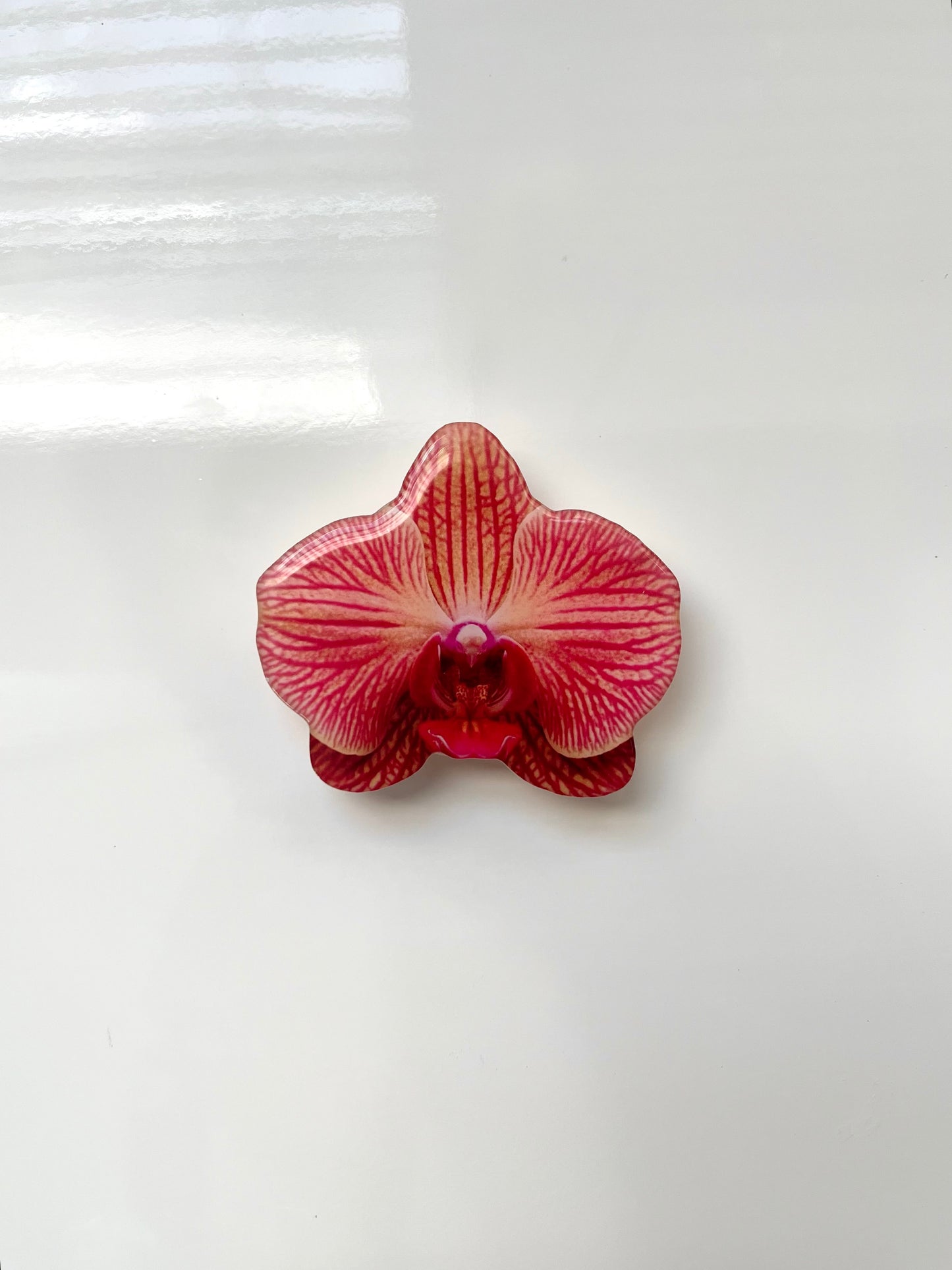 pink orchid flower grip